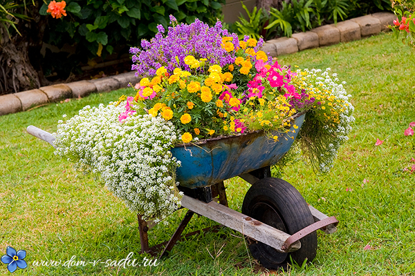 оригинальный садовый вазон для цветов
