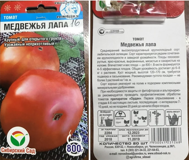 крупный сорт помидор